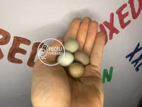 Quails — फ़ोटो 1