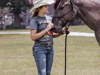 حصان, Quarter Horse — الصورة 5