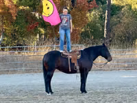 母马, Horses — 照片 4