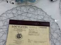 公马, Gidran — 照片 8