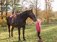 Cheval, Hunter — photo 2