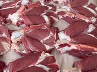 كبش, Rhon sheep — الصورة 5
