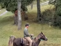 Cheval, Rocky Mountain Horse — photo 2