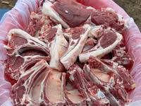 كبش, Rhon sheep — الصورة 7