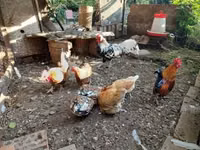 हैम्बर्ग — फ़ोटो 2
