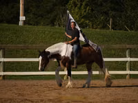 Cheval, Pinto horses — photo 6