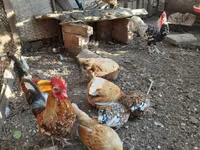 هامبورغ — الصورة 3