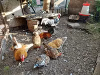 هامبورغ — الصورة 4