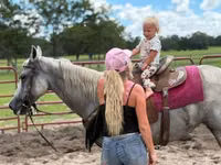 فرس, Quarter Horse — الصورة 3