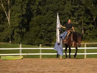 घोड़ा, Racking Horse — फ़ोटो 7