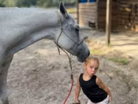 فرس, Quarter Horse — الصورة 4