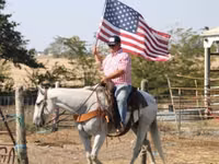 Cheval, Quarter Horse — photo 7