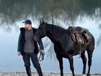 Caballo, Karachay horse — foto 7