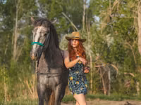 公马, Altai horse — 照片 3
