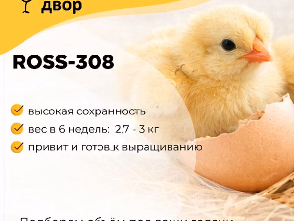 Росс-308