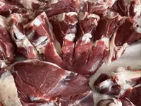 كبش, Rhon sheep — الصورة 5