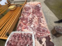 كبش, الأغنام — الصورة 4