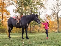 Cheval, Hunter — photo 1
