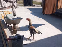 मेलीन — फ़ोटो 7