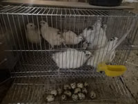 爱沙尼亚 — 照片 5