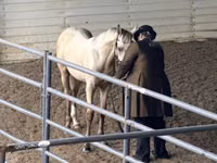 Jument, Rocky Mountain Horse — photo 6