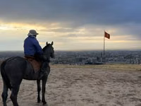 公马, Hanoverian — 照片 2
